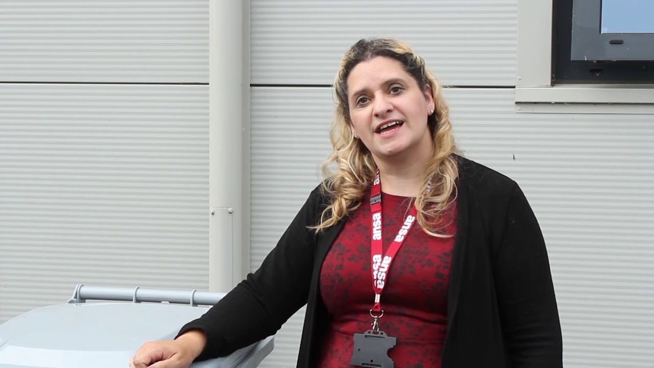 Ansa environmental corporate