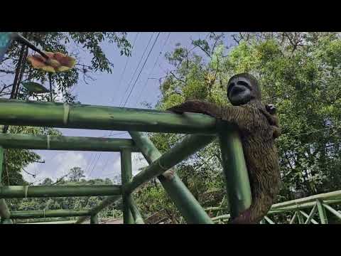 Silvania Cund. (Colombia)