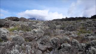 Dope D.O.D. - Square One