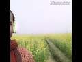 Do Honth Hile Ek Geet Suna
