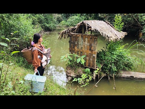 What happens when a single mom renovates a bamboo house in a pond in just 24 hours?