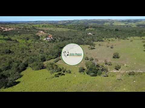 FAZENDA A VENDA EM ALEXANIA-GO - 80 HECTARES - PASTO FORMADO