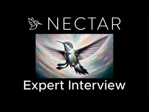 Amazon PPC Campaign planning verification