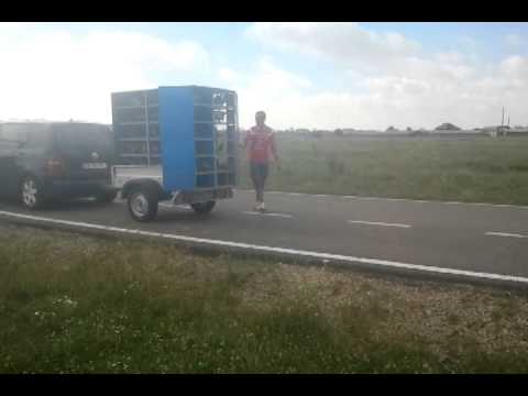 HONEST RACE O.L.R.-2014