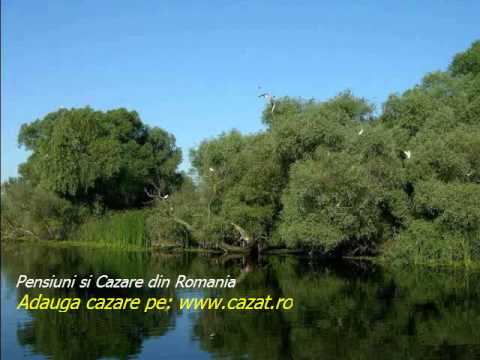 Cazare Braznic, Hunedoara - Cazat.ro