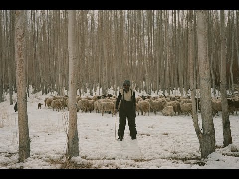 THE SOURCE  |  Every story has an origin.