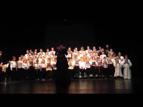 ДЕЧИЈИ ХОР ЦРКВЕНЕ ОПШТИНЕ  НОВОСАДСКЕ