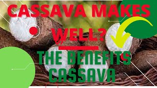 CASSAVA | NATURE OF THE AMAZON | CASSAVA