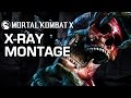 Bone Crunching X Rays Mortal Kombat X