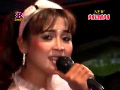 TEMAN BIASA NEW PALAPA LUSIANA SAFARA