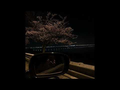 [free] hyperpop x glitchcore x twikipedia type beat - "Jester" [@shalli___ ]