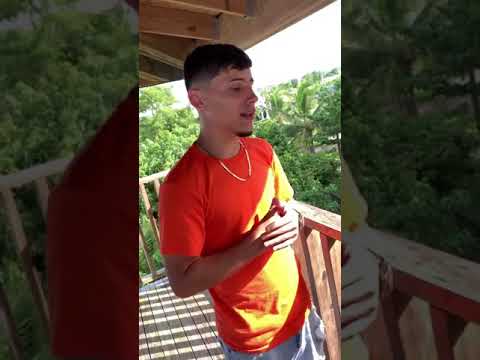 Yadnielpr Ft ileanpr Desamor😭💔Freestyle