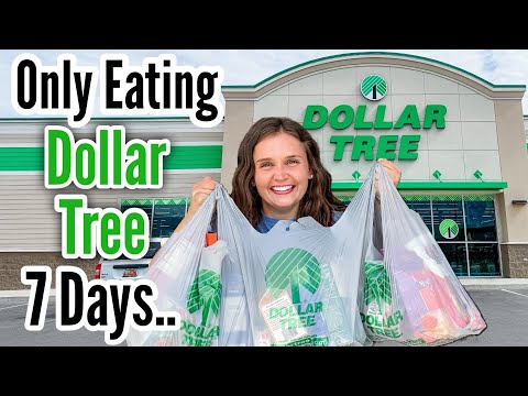 I Ate Only DOLLAR TREE Food for 7 Days — Here’s What Happened | Julia Pacheco