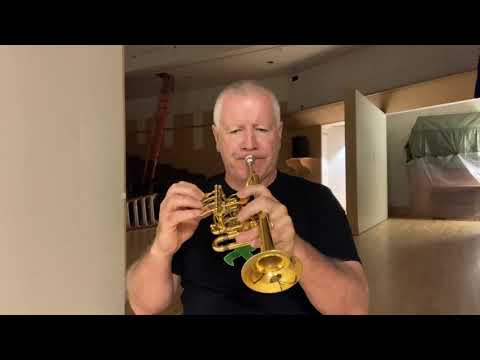 Collins: Piccolo Studies No. 106 - The Great Finale. COVID Etude Project No. 105.