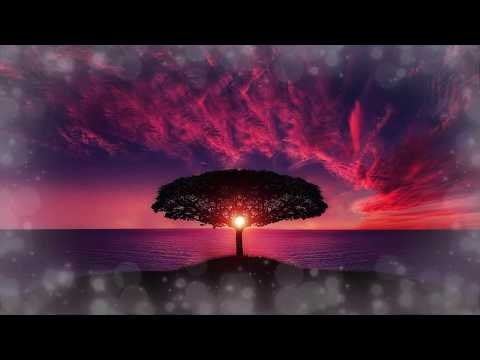 CMC$ Feat. SVEA - Stupid Dumb (Azuri Remix)