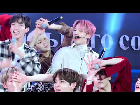 181109 포항 한러 포럼 축하 콘서트 "어쩌나" 세븐틴 SEVENTEEN 호시 직캠 HOSHI FOCUS Oh my!