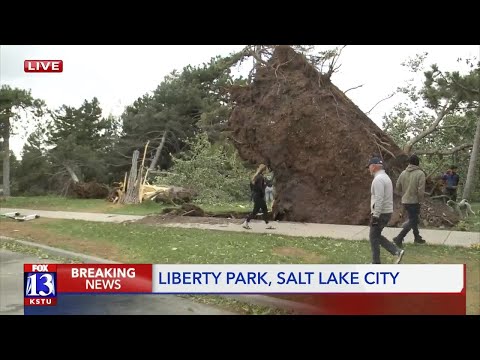 Liberty Park damaged in storm
