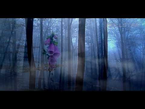 Video thumbnail for Dream in an Open Place