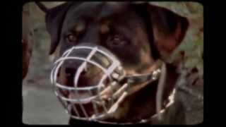 Blank & Jones - After Love 1999