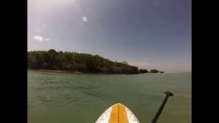 preview picture of video 'Sea Trip on a paddleboard.'