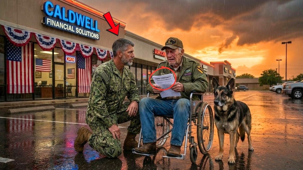 Veteran Breaks Down in Parking Lot—A Navy SEAL & His Shepherd Change Everything