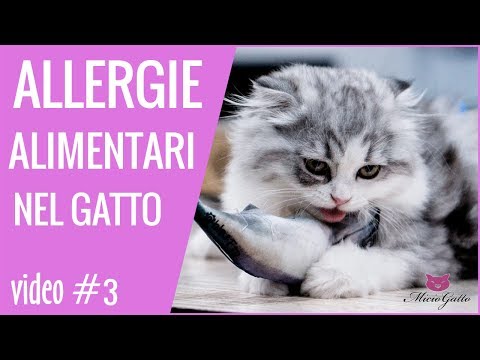 I metodi più efficaci di cura di eczema Quello che è la psoriasi e per trattarla una fotografia