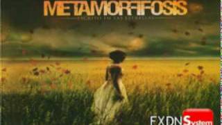 Metamorffosis - Te Prometo (Letra)