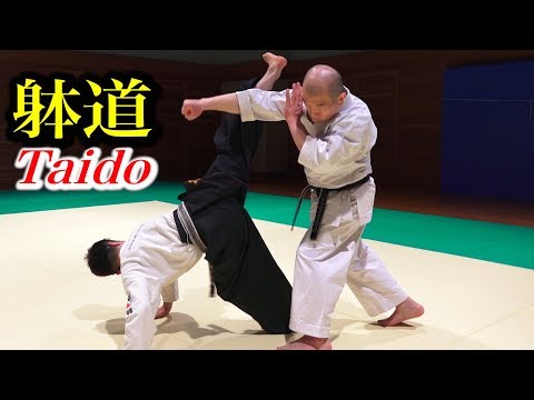躰道の蹴りの威力を検証してみた【Verification】Power of Taido Kick!