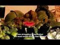 White Denim "Pretty Green" (Lyric Video)