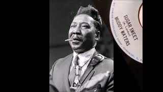 Muddy Waters, SUGAR SWEET