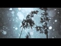 Leafblade - Portrait 