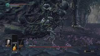 ［ダークソウル3］初見プレイ #3 アドバイス求む！！