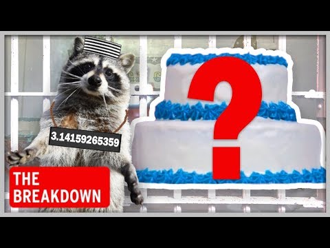 Did Raccoons Really Eat These Cakes? | The Breakdown Ep. 6