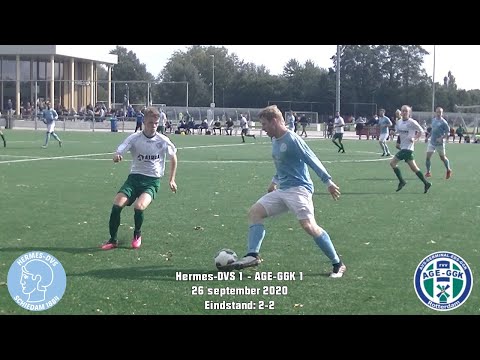 Samenvatting Hermes-DVS 1 - AGE-GGK 1