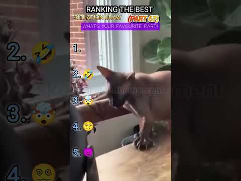 Ranking the best situation draw, part 67 💥, #foryou #funny