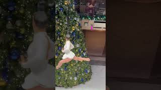 Duo Cirque Ular ✨ Hair-Hanging Aerial Act | Star Princess Christmas Cruise
