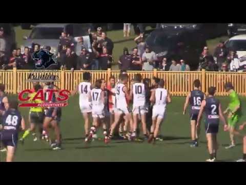 2016 BDAFL Men's Grand Final Highlights - Newcastle City Blues v Terrigal Avoca Panthers