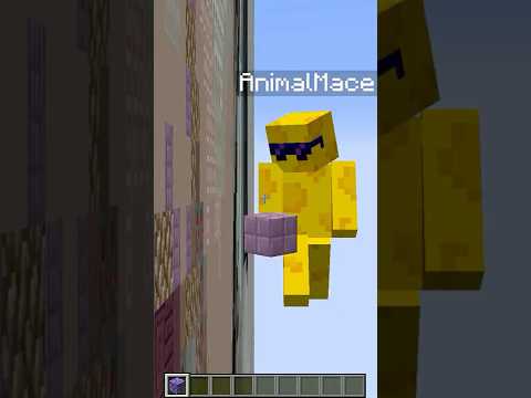 Had to hire a new actor for Beesechurger