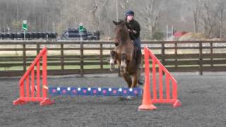 preview picture of video 'Solace and Alfie best and worst bits showjumping 2/3/14'