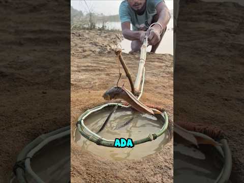 target pancingnya membuahkan hasil#shorts #viralshorts