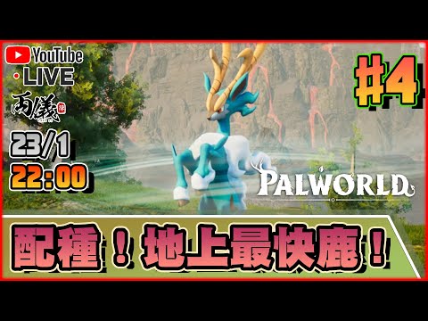 🔴【幻獸帕魯】Day 4 大雜交！打造最強阿努比斯同最快既雲海鹿！ 📅23-1-2024 22:00