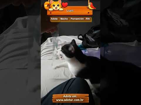 Vídeo de Liam