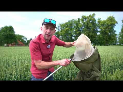 V Warmińsko-Mazurskie Dni Pola w powiecie elbląskim