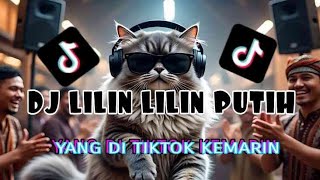 Download lagu DJ LILIN LILIN PUTIH SLOW BASS MAKIN LAMA MAKIN ENAK YANG DI TIKTOK BY Yanz Tube mp3