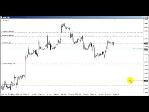 Video Lines Profit Loss