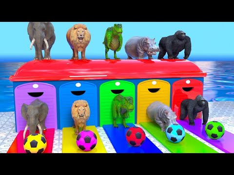Long Slide Game with Peacock Lion Elephant Gorilla Monkey 3d Animal Game Funny 3d Animals