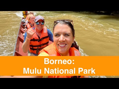 Malaysia - Borneo: Gunung Mulu National Park 2024
