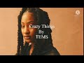 Crazy things by Tems , lyrics video