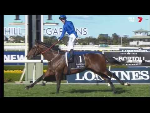 2016  SEVEN TWO _ ATC Golden Rose