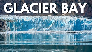 Glacier Bay National Park - 2 Days of Whales, Glacier Calving, Hikes & More